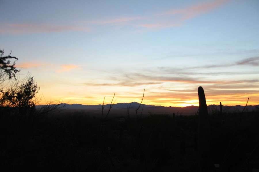 ../image/sunset at desert museum 5.jpg